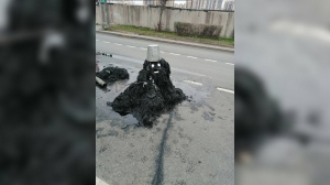 «Тряповик идет к вам»: петербуржцам показали создание, слепленное из слитого в унитаз мусора