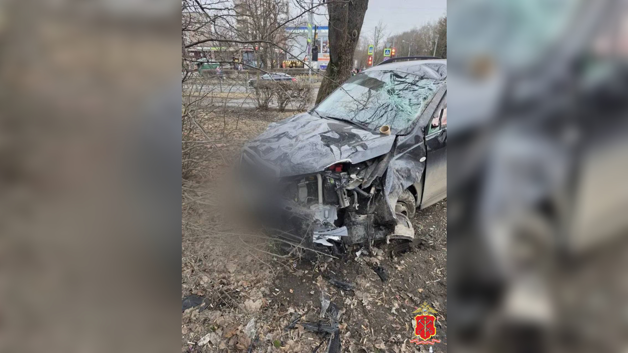 Уголовное дело возбудили после дня рождения в реанимации двойняшек, пострадавших в ДТП в Пушкине