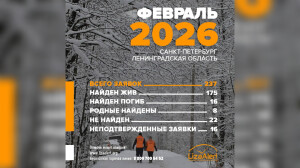 Найдены живыми 175 человек, погибшими — 16: отряд «ЛизаАлерт» по Петербургу и Ленобласти подвел итоги февраля