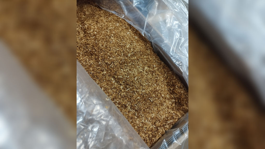 В морском порту Петербурга нашли сюрприз в партии табака — 13 живых насекомых