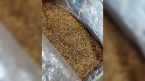 В морском порту Петербурга нашли сюрприз в партии табака — 13 живых насекомых