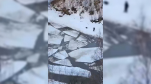 Петербургский подросток «прыгал» по льдинам: очевидцы засняли опасные игры