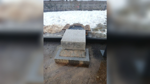 В Тихвине поймали вандала, уронившего «шмеля»