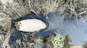 На Радостной улице ТСН «Счастливый» нашли неразорвавшийся артиллерийский снаряд