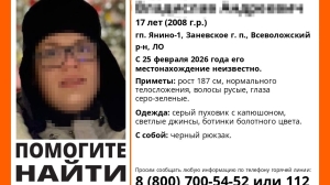 После пропажи 17-летнего сына в Ленобласти мать стала получать угрозы