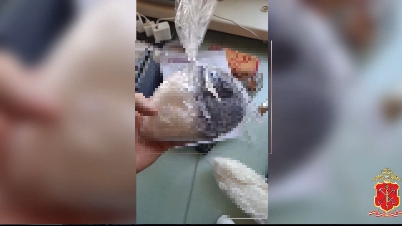 Петербургская полиция нашла в квартире три свертка наркотиков у ранее судимого пенсионера