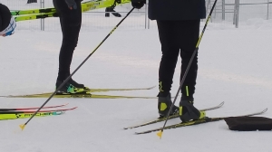 Объединенную ассоциацию лыжных видов спорта возглавил депутат Савищев