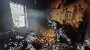 Спасатели нашли два трупа в горящем доме в Ленобласти: следователи выясняют причины пожара