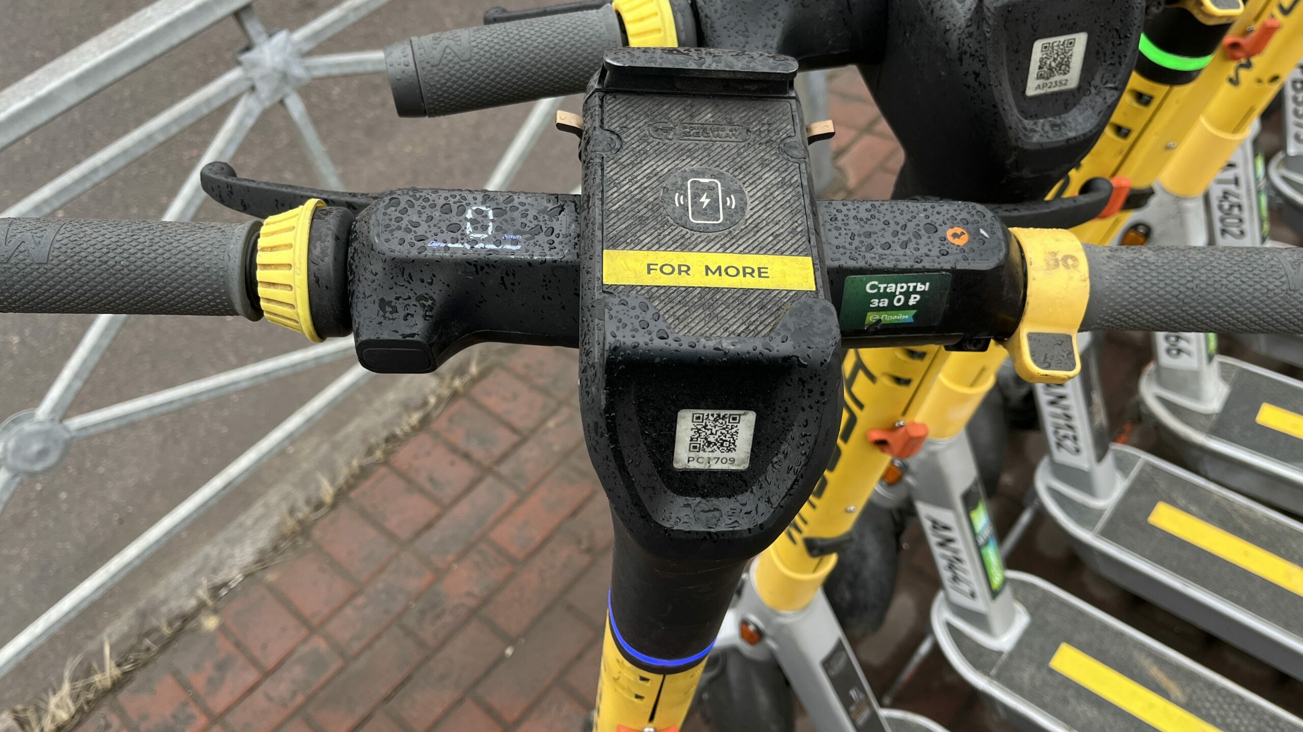 Петербург оказался самым главным в России угнетателем кикшеринга