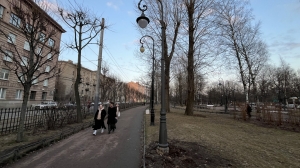 Фонари на Петроградке раздвоились в глазах «Газпрома»