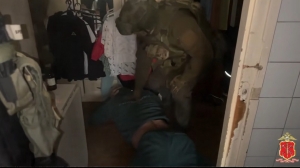 Полиция задержала автомобильное ОПГ из Петербурга за фейковые ДТП и обман страховых компаний