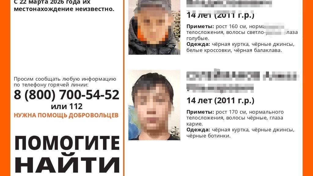 Пропавшие в Ульяновской области 14-летние мальчики могли утонуть в Волге