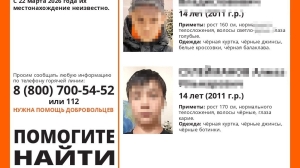 Пропавшие в Ульяновской области 14-летние мальчики могли утонуть в Волге