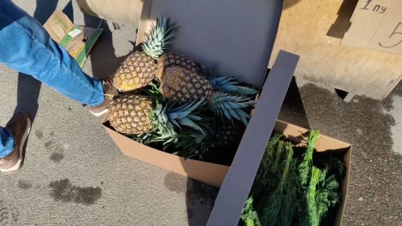 Сотрудники ККИ пресекли незаконную торговлю 45,5 килограмма фруктов и зелени у метро «Озерки» в Петербурге