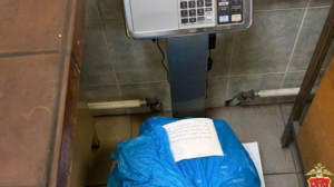 В Невском районе поймали «дуэт» наркоторговцев с 12 килограммами «травы»