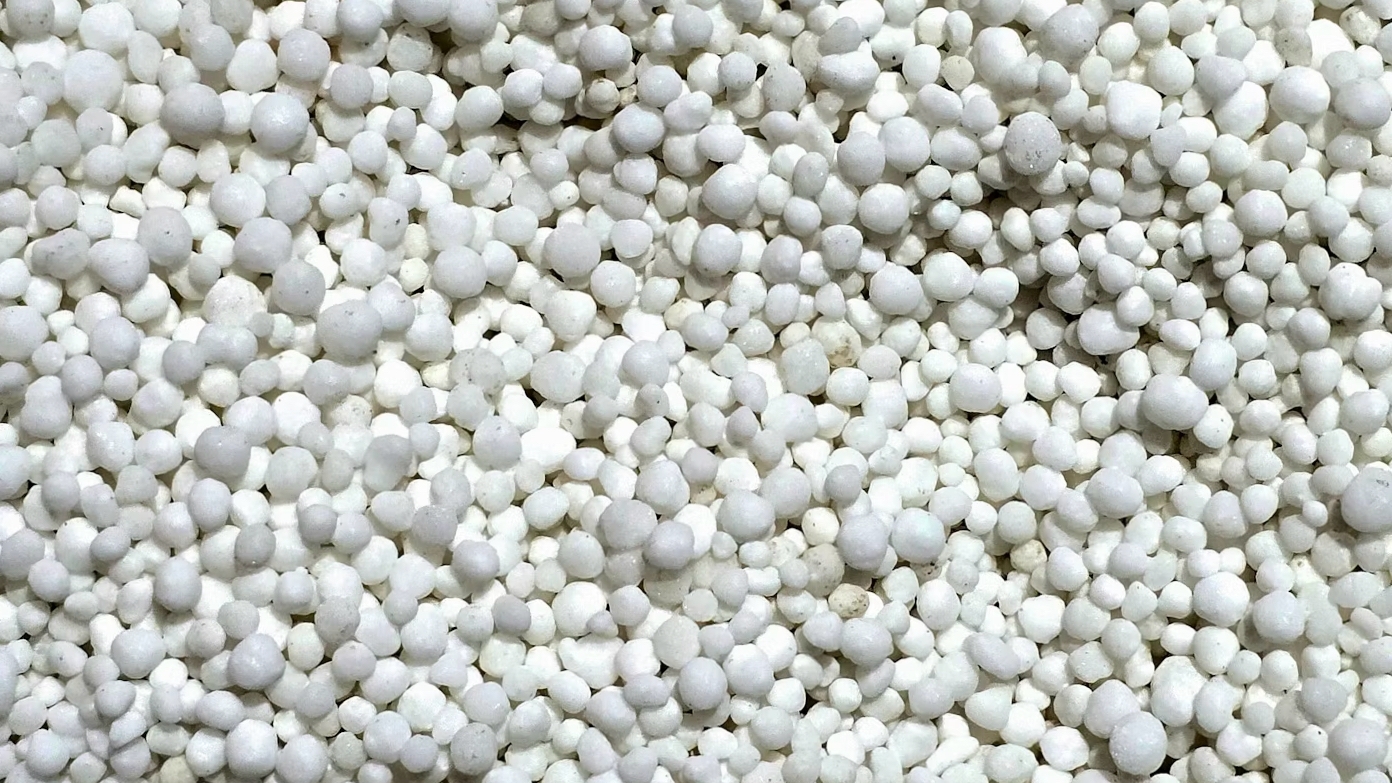 Взрывоопасная селистра уходит из Петербурга 6 апреля