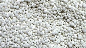 Взрывоопасная селистра уходит из Петербурга 6 апреля