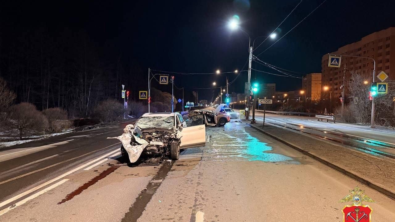 Полиция проверит обстоятельства смертельного ДТП в Курортном районе Петербурга