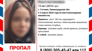 Под Петербургом несколько недель ищут 15-летнюю девочку в розовом