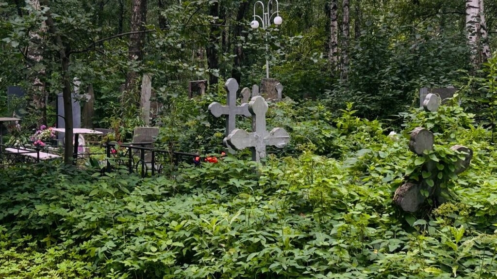 Участок Митрофаньевского кладбища признали объектом культурного наследия после спама активистов