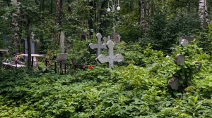 Участок Митрофаньевского кладбища признали объектом культурного наследия после спама активистов