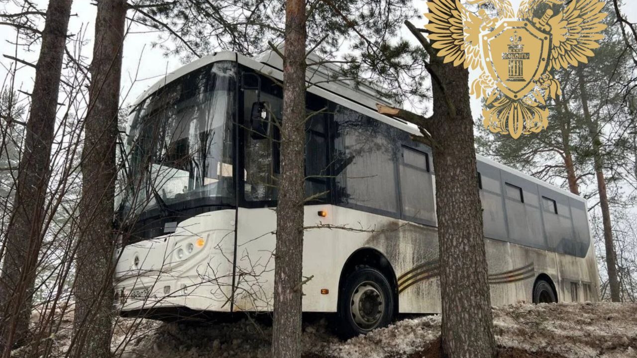 Есть пострадавшие: ветви деревьев удержали съехавший в кювет автобус в Ленобласти