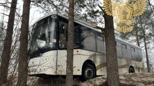 Есть пострадавшие: ветви деревьев удержали съехавший в кювет автобус в Ленобласти
