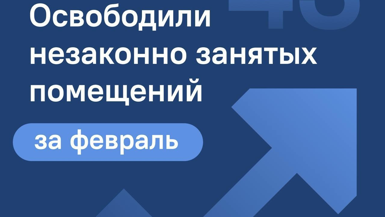 Больше 40 помещений в Петербурге освободили от нарушителей за месяц