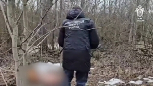 Петербургские следователи задержали 17-летнюю бывшую девушку зверски убитого парня из Пушкина