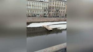 Лед тронулся: SUP-станция на Петроградке отправилась по Карповке в Неву