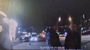 Петербуржцы помочились на памятник Великой Отечественной войны и сбежали