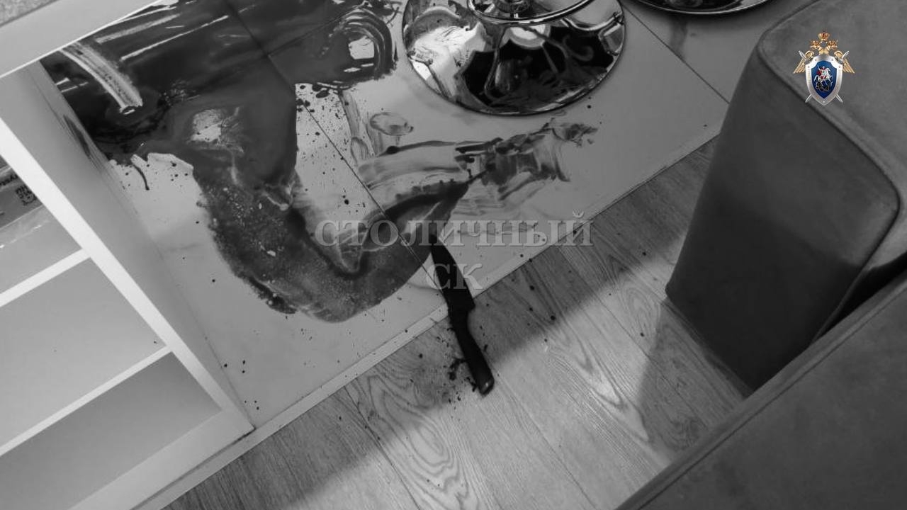 Сталкер 12 раз ударил именинницу ножом в элитном ЖК Москвы и выдал это за ее волю