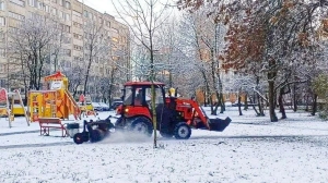 Реформа ЖКХ оправдала ожидания: петербургских дворников стало на треть больше