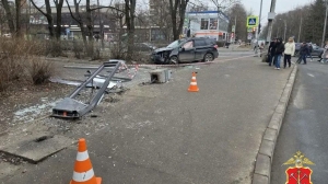 Следователи хотят забрать у полиции дело о ДТП с близняшками в Пушкине