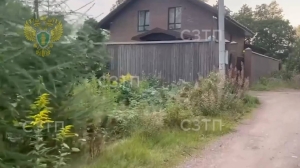 В Ленобласти имущество экс-таможенника, «севшего» на 10 лет за взятки, обращено в доход государства