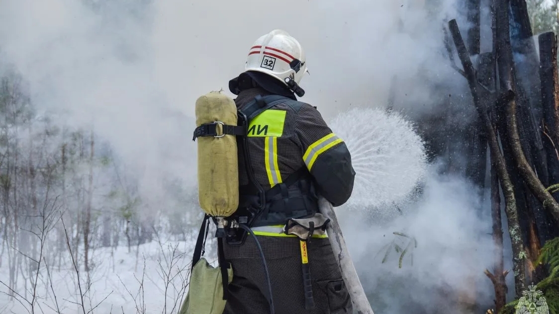 Под Сестрорецком тушили условный лесной пожар, угрожавший поселку и КАД