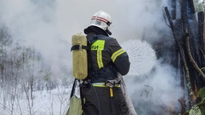 Под Сестрорецком тушили условный лесной пожар, угрожавший поселку и КАД
