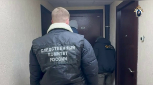 Житель Мурино признал вину в онлайн-оправдании терроризма и отправился в СИЗО