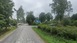 Почти 1500 деревьев собираются срубить в Курортном районе ради строительства элитного ЖК