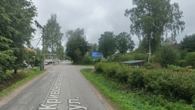 Почти 1500 деревьев собираются срубить в Курортном районе ради строительства элитного ЖК