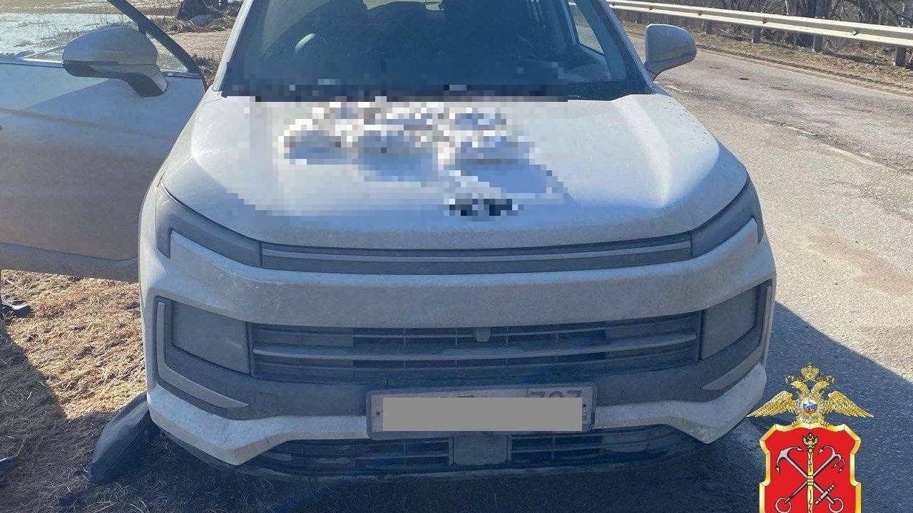 Три килограмма запрещенки нашли в каршеринге в районе деревни Липки Ленобласти