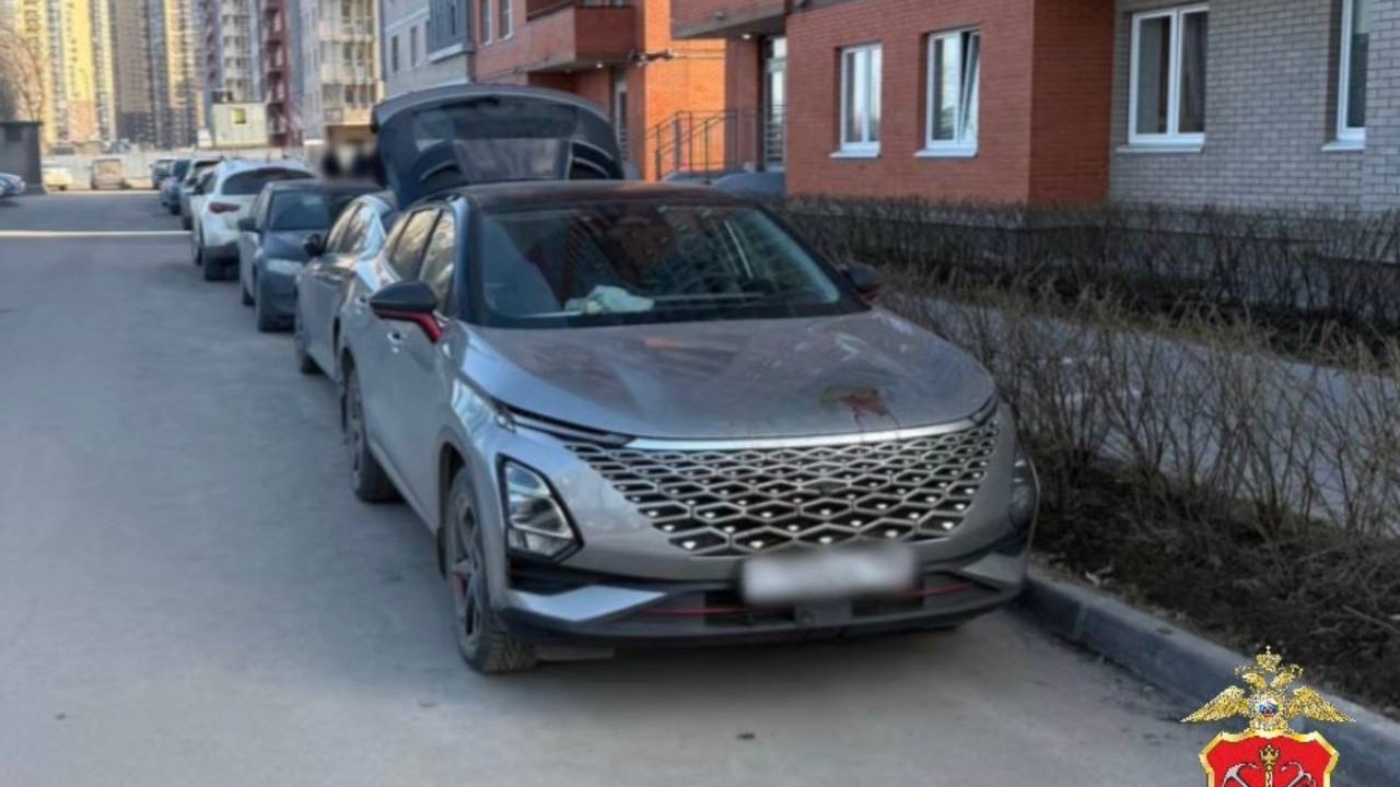 Возбуждено уголовное дело после смерти пятилетнего пешехода во время ДТП в Невском районе