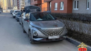 Возбуждено уголовное дело после смерти пятилетнего пешехода во время ДТП в Невском районе