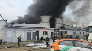 Пожар на Хрустальной в Петербурге с номером 2БИС локализовали спустя полтора часа