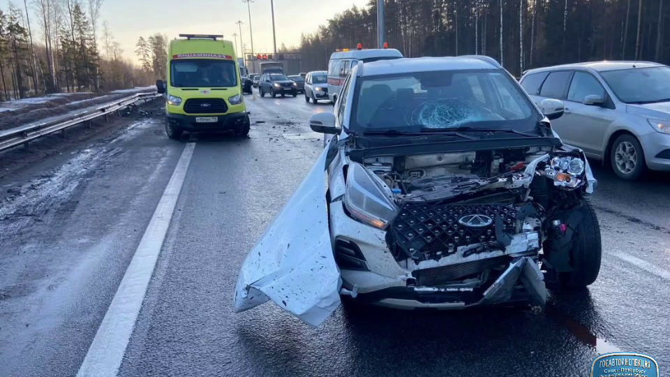 На КАД 19-летний водитель каршеринга устроил «замес» с пешеходом, ограждением и попутной машиной