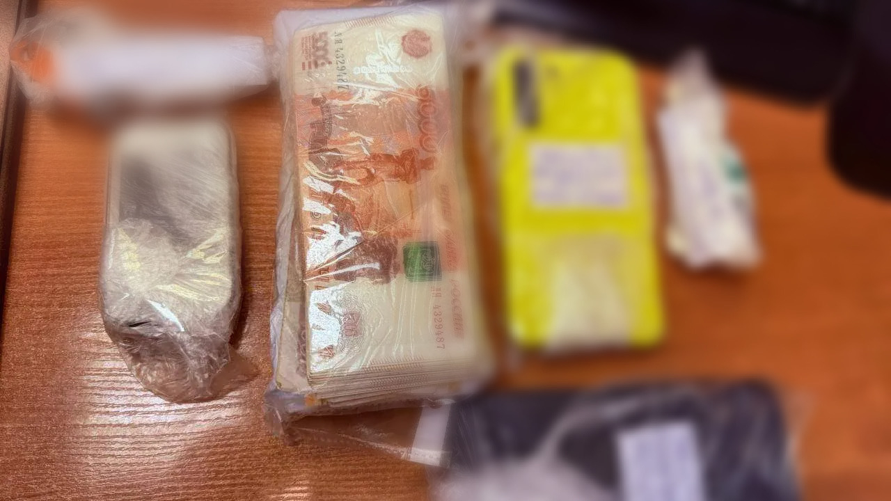 В Петербурге арестовали теневых банкиров, вывевших за рубеж больше 600 млн рублей