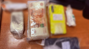 В Петербурге арестовали теневых банкиров, выведших за рубеж больше 600 млн рублей