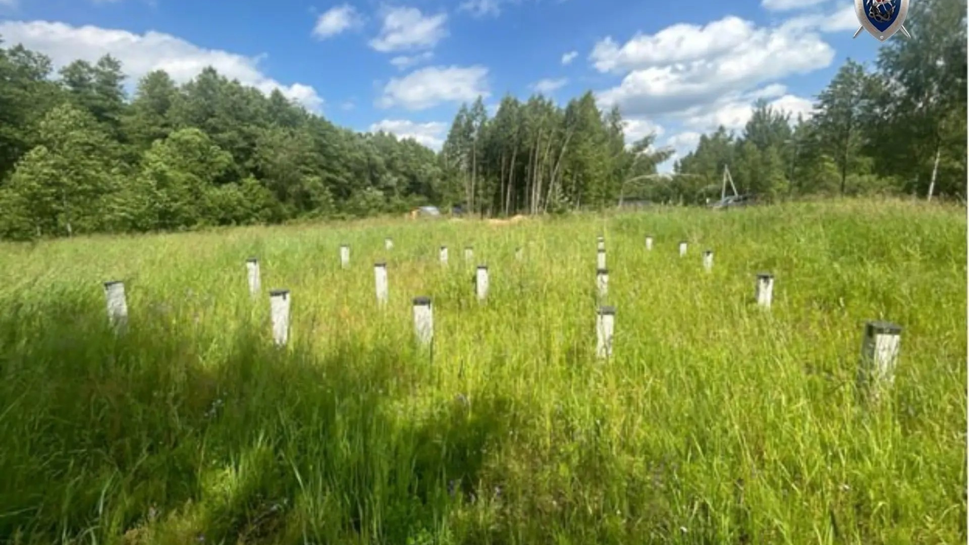 Почти 80 петербуржцев отпустили мечту о собственном доме. Бизнесмен расскажет суду о хищении 310 млн рублей