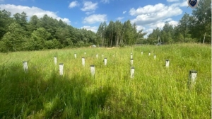 Почти 80 петербуржцев отпустили мечту о собственном доме. Бизнесмен расскажет суду о хищении 310 млн рублей