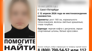 В Петербурге две недели не могут найти 15-летнюю школьницу